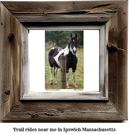 trail rides near me in Ipswich, Massachusetts